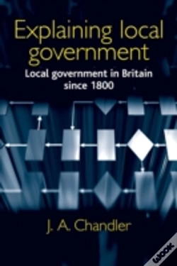 Capa do artigo Explaining Local Government