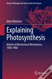 Explaining Photosynthesis