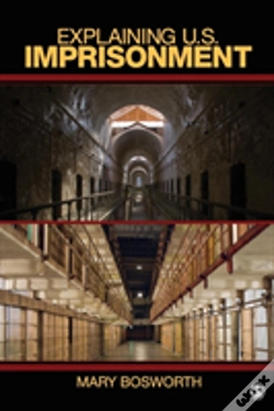 Capa do artigo Explaining U.S. Imprisonment