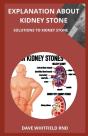 Explanation About Kidney Stone - Preview