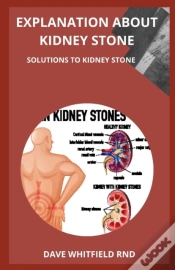 Capa do artigo Explanation About Kidney Stone