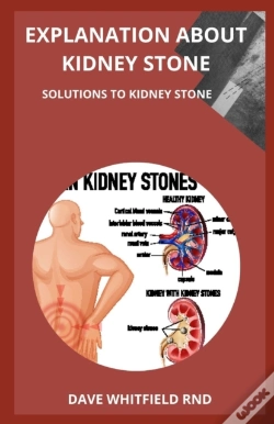 Capa do artigo Explanation About Kidney Stone