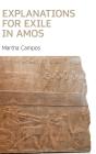 Explanations For Exile In Amos - Preview