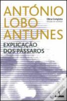 Explicação dos Pássaros