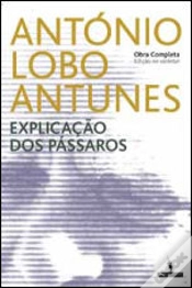 Capa do artigo Explicação dos Pássaros