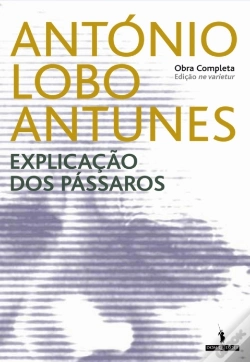 Capa do artigo Explicação Dos Pássaros (Ne Varietu