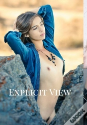 Capa do artigo Explicit View