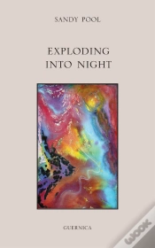 Capa do artigo Exploding Into Night