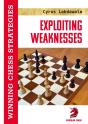 Exploiting Weaknesses - Preview