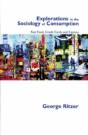 Explorations In The Sociology Of Consumption - Preview