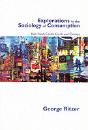 Explorations In The Sociology Of Consumption - Preview
