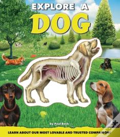 Explore A Dog
