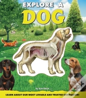 Explore A Dog