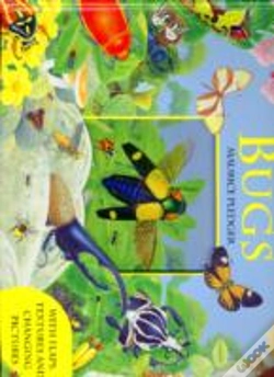 Capa do artigo Explore Bugs
