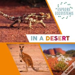 Capa do artigo Explore Ecosystems: In A Desert