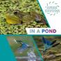 Explore Ecosystems: In A Pond - Preview