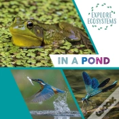 Capa do artigo Explore Ecosystems: In A Pond