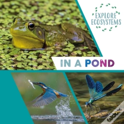 Capa do artigo Explore Ecosystems: In A Pond