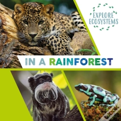 Capa do artigo Explore Ecosystems: In A Rainforest
