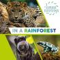 Explore Ecosystems In A Rainforest - Preview