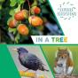 Explore Ecosystems: In A Tree - Preview