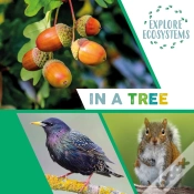 Capa do artigo Explore Ecosystems: In A Tree