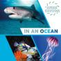 Explore Ecosystems: In An Ocean - Preview