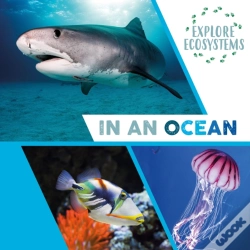 Capa do artigo Explore Ecosystems: In An Ocean
