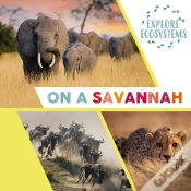 Capa do artigo Explore Ecosystems: On A Savannah