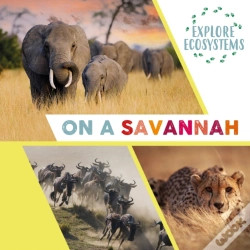 Capa do artigo Explore Ecosystems: On A Savannah