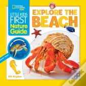 Explore The Beach