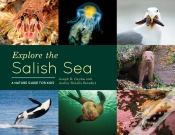 Capa do artigo Explore The Salish Sea