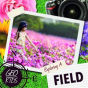 Exploring A Field - Preview