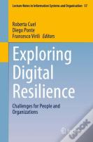 Exploring Digital Resilience