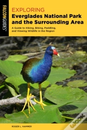 Capa do artigo Exploring Everglades National Park And The Surrounding Area