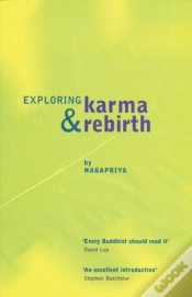 Capa do artigo Exploring Karma And Rebirth