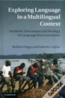 Exploring Language In A Multilingual Context