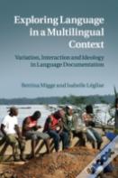 Exploring Language In A Multilingual Context