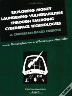 Capa do artigo Exploring Money Laundering Vul