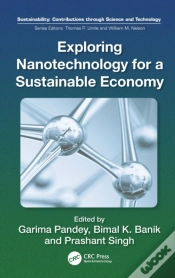 Capa do artigo Exploring Nanotechnology For A Sustainable Economy