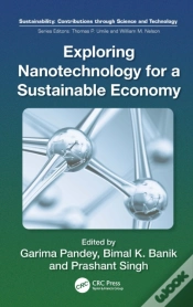 Capa do artigo Exploring Nanotechnology For A Sustainable Economy
