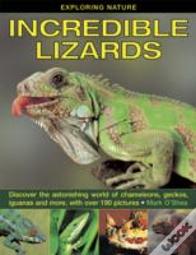 Exploring Nature: Incredible Lizards