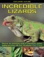 Exploring Nature: Incredible Lizards - Preview