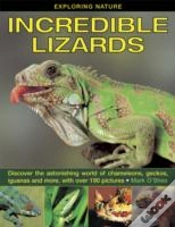 Capa do artigo Exploring Nature: Incredible Lizards
