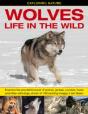 Exploring Nature: Wolves - Life In The Wild - Preview