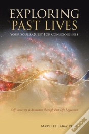 Capa do artigo Exploring Past Lives