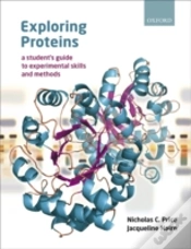 Capa do artigo Exploring Proteins