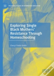 Capa do artigo Exploring Single Black Mothers