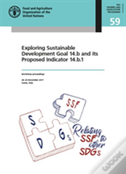 Exploring Sustainable Development Goal 14.B And Its Proposed Indicator 14.B.1