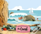 Capa do artigo Exploring The Amazing World Of The Coast
